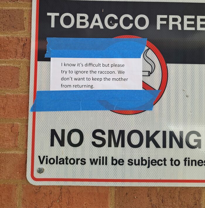 No smoking sign with warning message about ignoring raccoon, taped over it. No smoking sign with warning message about ignoring raccoon, taped over it.