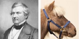 Celebrating America - Carroll County - Celebrating First Pets - President Fillmore's Horses, Mason and Dixon. http://www.presidentialpetmuseum.com/pets/millard-fillmore-mason-and-dixon/ | Facebook