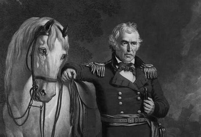 Old Whitey, Zachary Taylor's Horse - Presidential Pet Museum